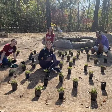 Students surrounded by native plants as they plant a green stormwater feature