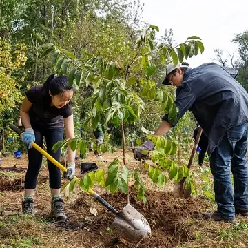 Community members plant native trees in Tacony Creek Park