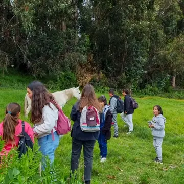 Group of students meeting two horses