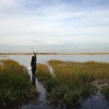 graduate student standing in a salt marsh.