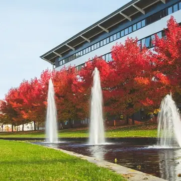 Autumn on campus