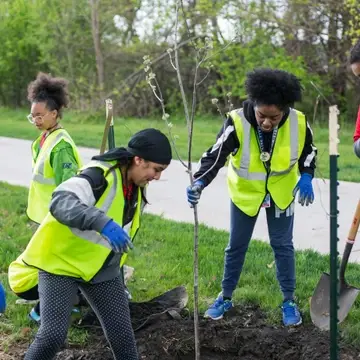 volunteers plant trees