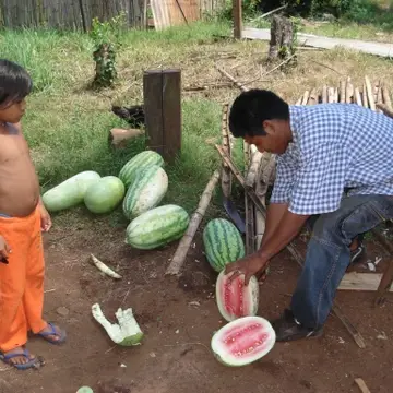Comunidad Mbya Guaraní