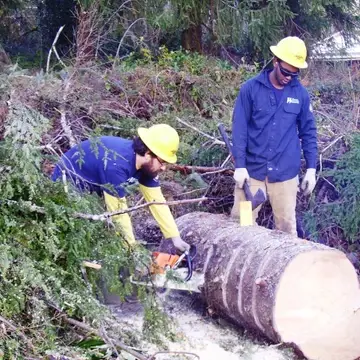 Two people stand next to a large log; one is cutting it into slices with a chainsaw, the other is standing nearby with a wedge and Pulaski hand tool. Both are wearing yellow hard hats and eye protection.