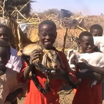 Children benefit from nutritious Goat's milk