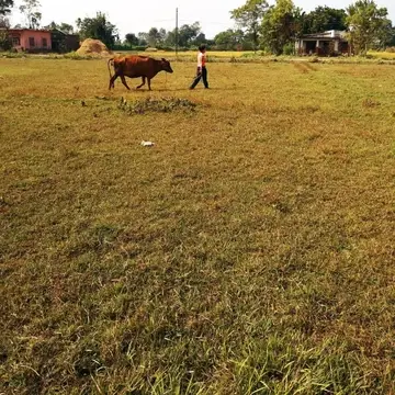 Agriculture program in Chitwan,Nepal