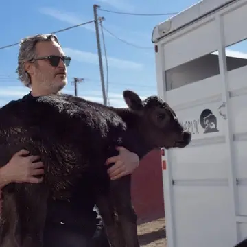Joaquin Phoenix carries calf out of slaughterhouse