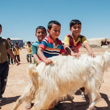 Syrian children with their new goat