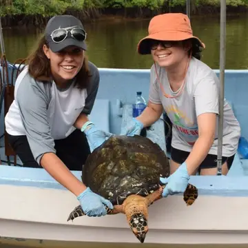 Participate and enjoy our long-term research with sea turtles in their foraging areas.