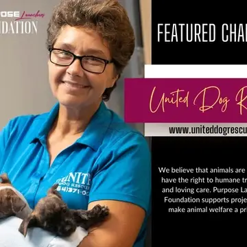 Purpose Launchers Foundation supports charities like United Dog Rescue