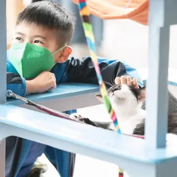 A boy pets a cat, who is happily leaning in for more affection.