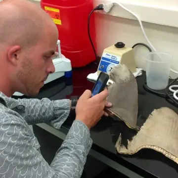 graduate student using phone to study shark fins in a laboratory