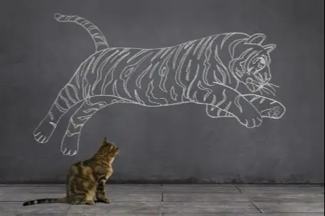 Un gato viendo el dibujo de un tigre en la pared