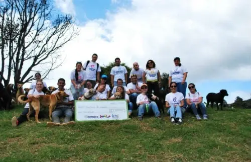 Costa Rica - Empleados de una empresa haciendo voluntariado con animales