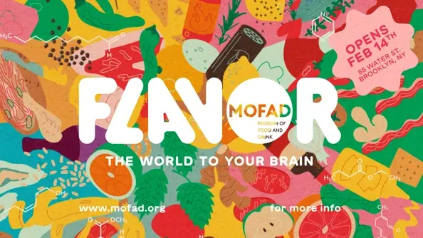 Recruiting volunteer docents for MOFAD's exhibition, "Flavor: The World to Your Brain"