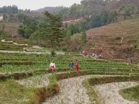 Organic and Agriculture farm in Nepal