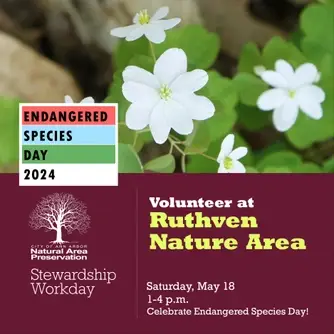 Stewardship Workday at Ruthven Nature Area/Endangered Species Day