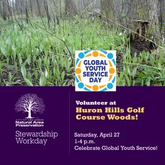Stewardship Workday at Huron Hills Golf Course Woods/Global Youth Service Days