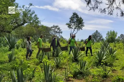 Forest Conservation & Community Resilience - A perfect initiative for volunteers who want to contribute to social change and nature conservation