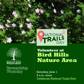 Stewardship Workday at Bird Hills Nature Area/National Trails Day