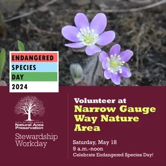Stewardship Workday at Narrow Gauge Way/Endangered Species Day