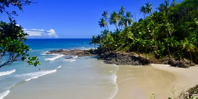 Website Development in a Tropical Beach Town in Bahia, Brazil