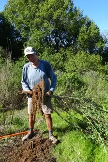 Habitat restoration- Broom pull with Marin Water at Mt. Tam!