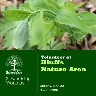 Stewardship Workday at Bluffs Nature Area
