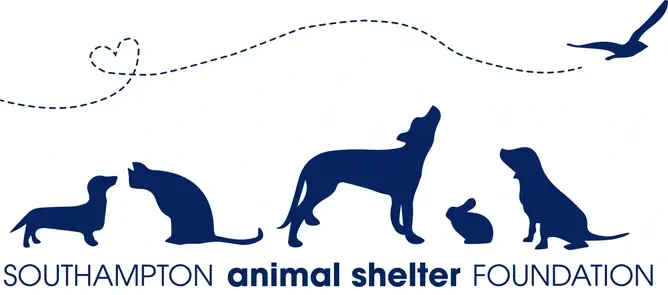 Volunteers Needed at Southampton Animal Shelter Foundation