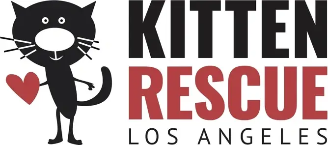 Volunteer Grant Writer for Non Profit Animal Rescue ---Los Angeles