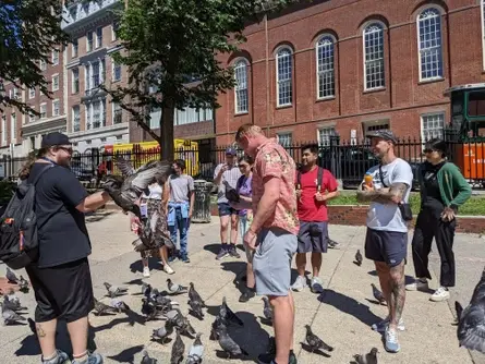 Meet travelers from around the world- be a Boston tour guide!