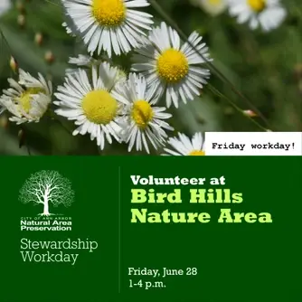 Weekday Stewardship Workday at Bird Hills Nature Area