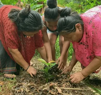 Grow, Change, Nourish Lives: Volunteer in Regenerative Agriculture at Casa Guatemala!
