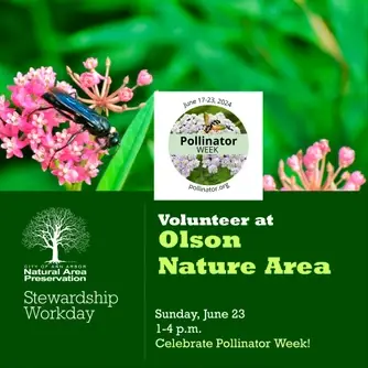 Stewardship Workday at Olson Nature Area/Pollinator Week