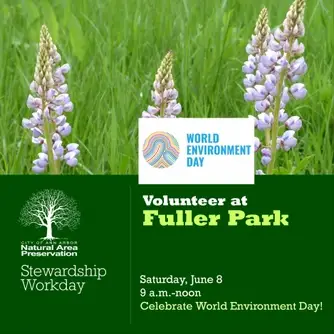 Stewardship Workday at Fuller Park/World Environment Day