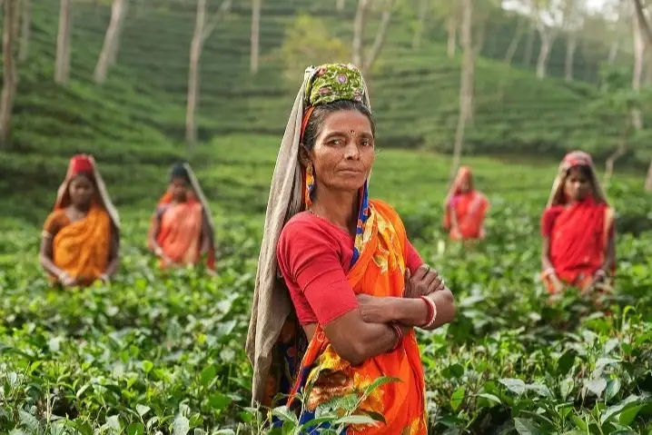 mujeres indias en un campo