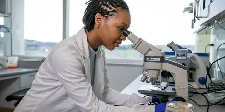 Graduate student looking through microscope