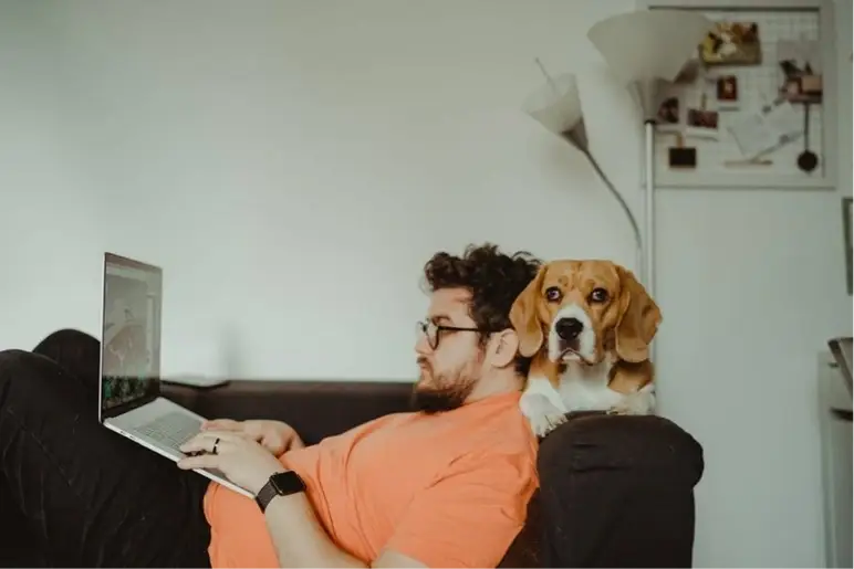 A man typing on a computer with a dog behind his head.