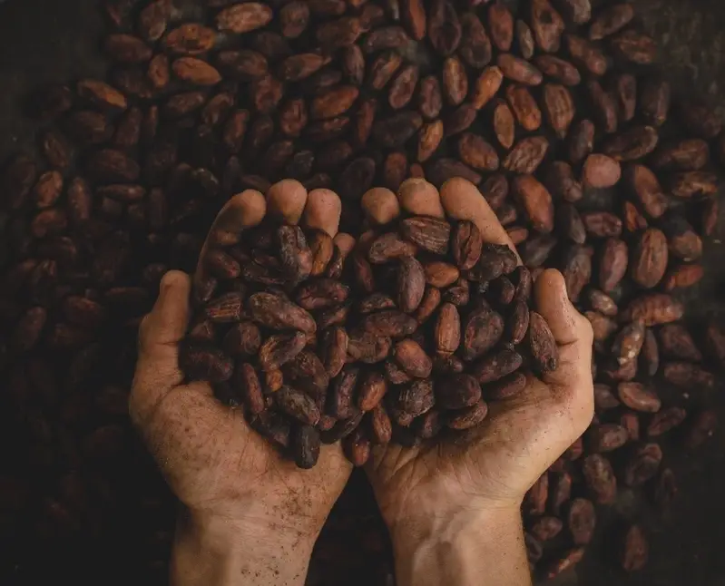 Dos manos sosteniendo granos de café