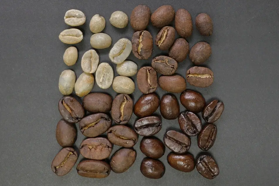 granos de café de diferentes colores
