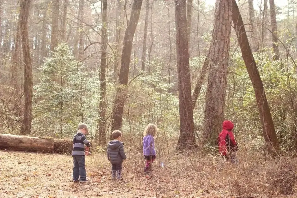 Niños caminando en un bosque