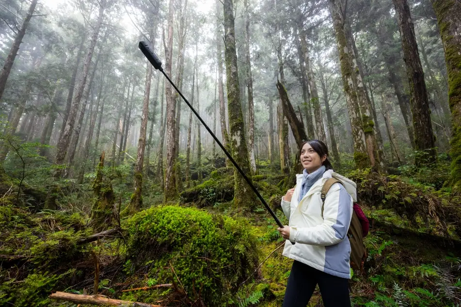 Woman of Asian descent walks through a bright green damp forest in Japan on environmental mission.