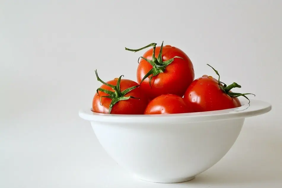 tomates en un plato