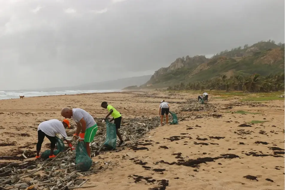 Volunteers cleaning up on the beach.