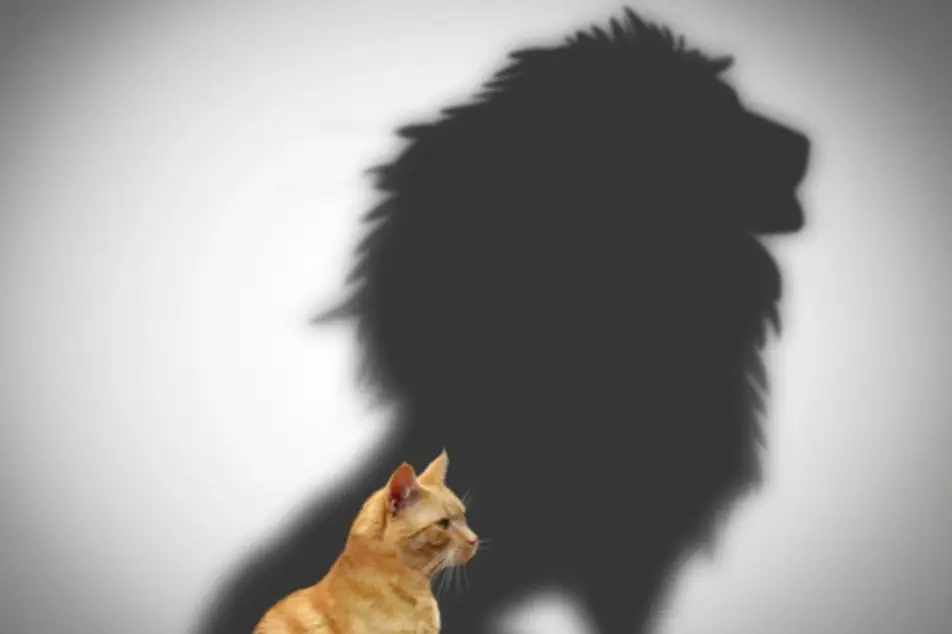 Un gato proyectando la sombra de un león