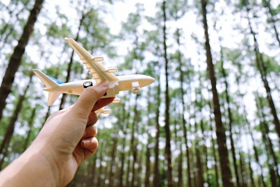 Fotografia de uma mão segurando um avião de brinquedo com grandes árvores atrás.