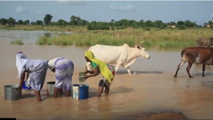 Water Crisis In The Tamale Metropolis Of Ghana Help Needy Charity Powered By Donorbox 9548