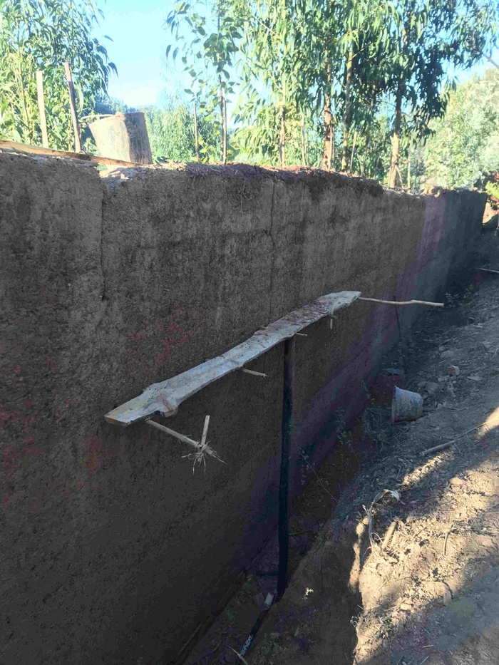 Andrew cut a unwanted tree planked it cured it, and used it for a scaffold on backside of the walls of the house