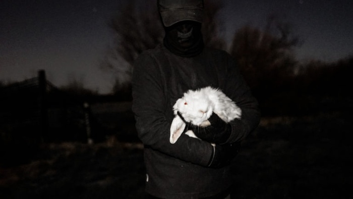 A person dressed all in black with balck face mask and cap, holding a white rabbit with head tilt, a common sign of infection or parasites in rabbits