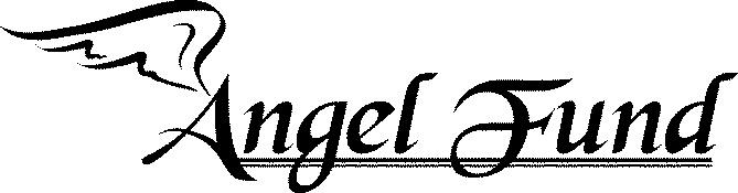 Small black wing drawn next to the words Angel Fund